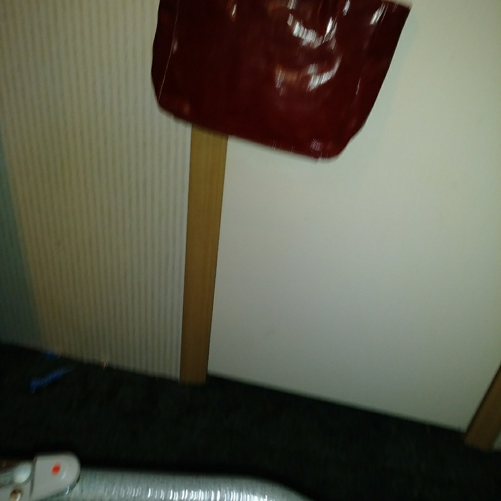 Exoctic handbag